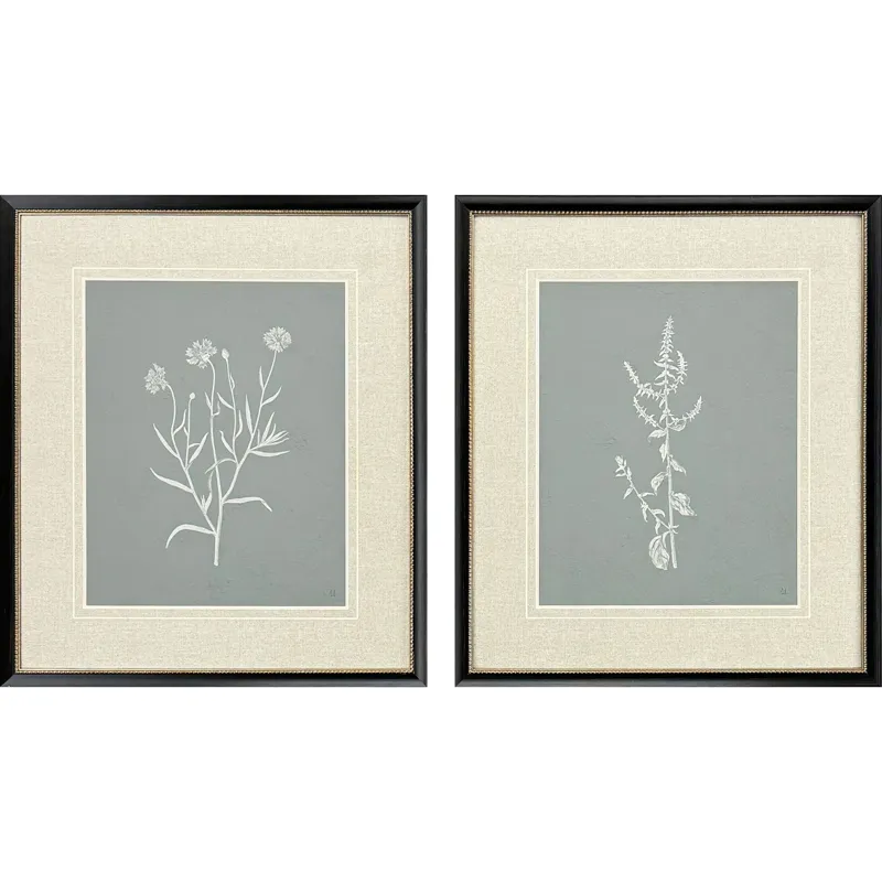 Nature's Gift II S/2 - Framed Art