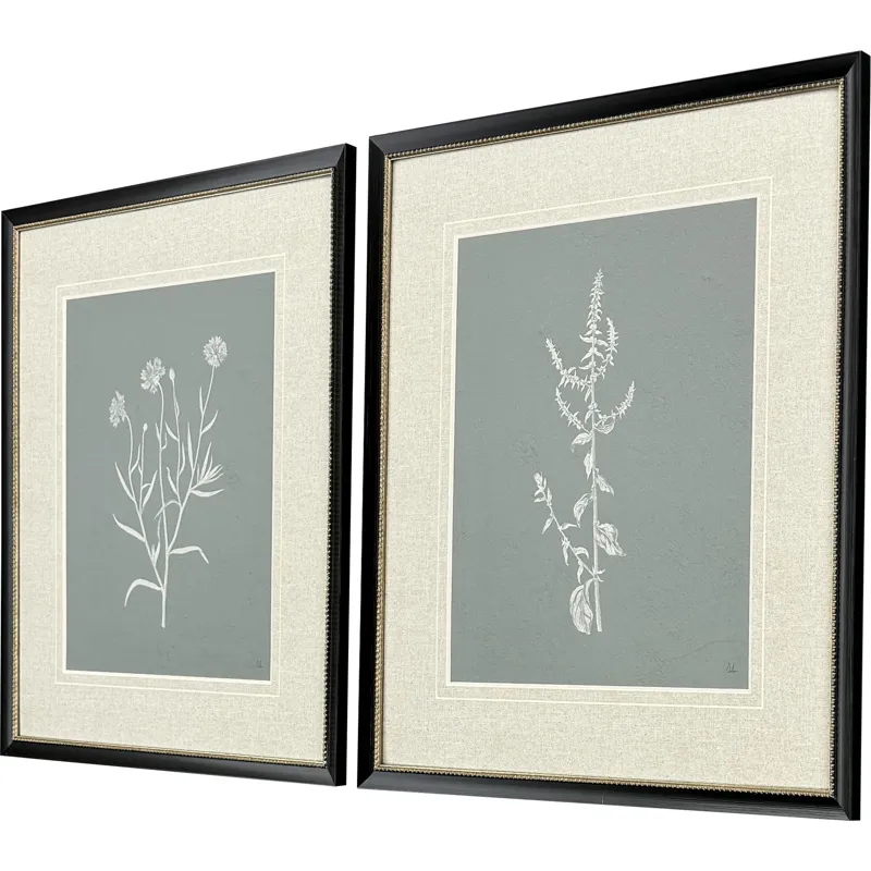 Nature's Gift II S/2 - Framed Art