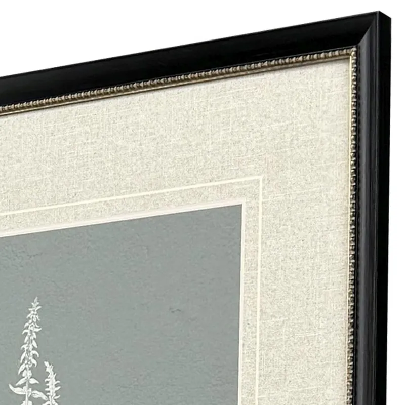 Nature's Gift II S/2 - Framed Art