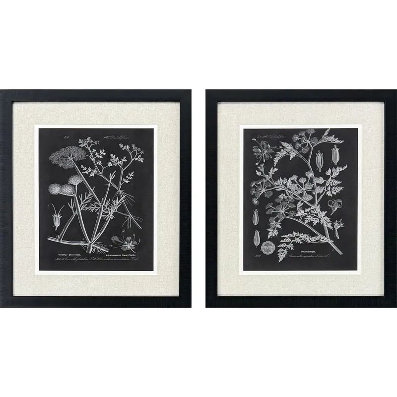 Mono Botanicals I S/2 - Framed Art