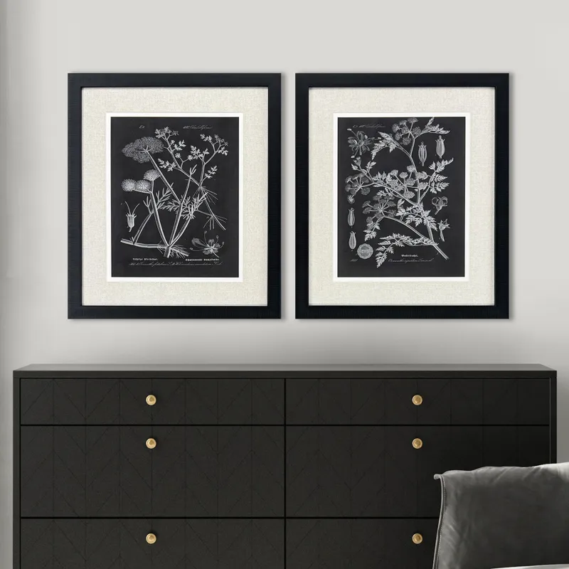 Mono Botanicals I S/2 - Framed Art
