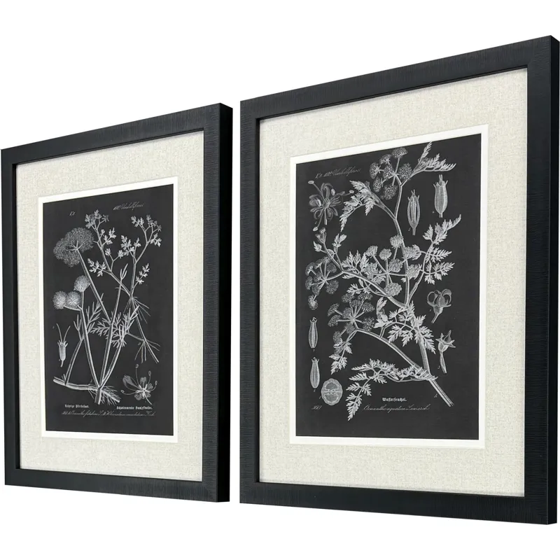 Mono Botanicals I S/2 - Framed Art