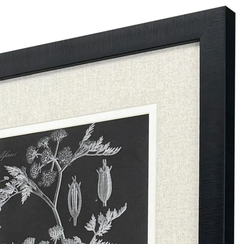 Mono Botanicals I S/2 - Framed Art