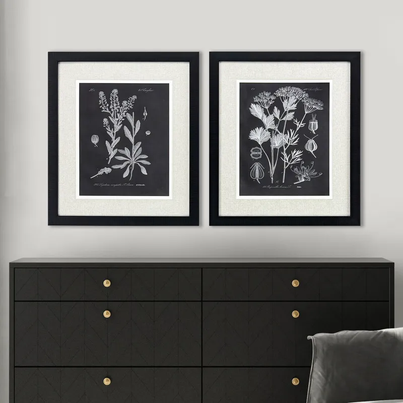 Mono Botanicasl II S/2 - Framed Art