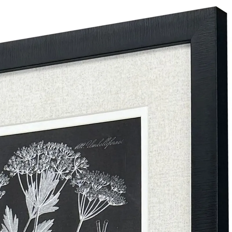 Mono Botanicasl II S/2 - Framed Art