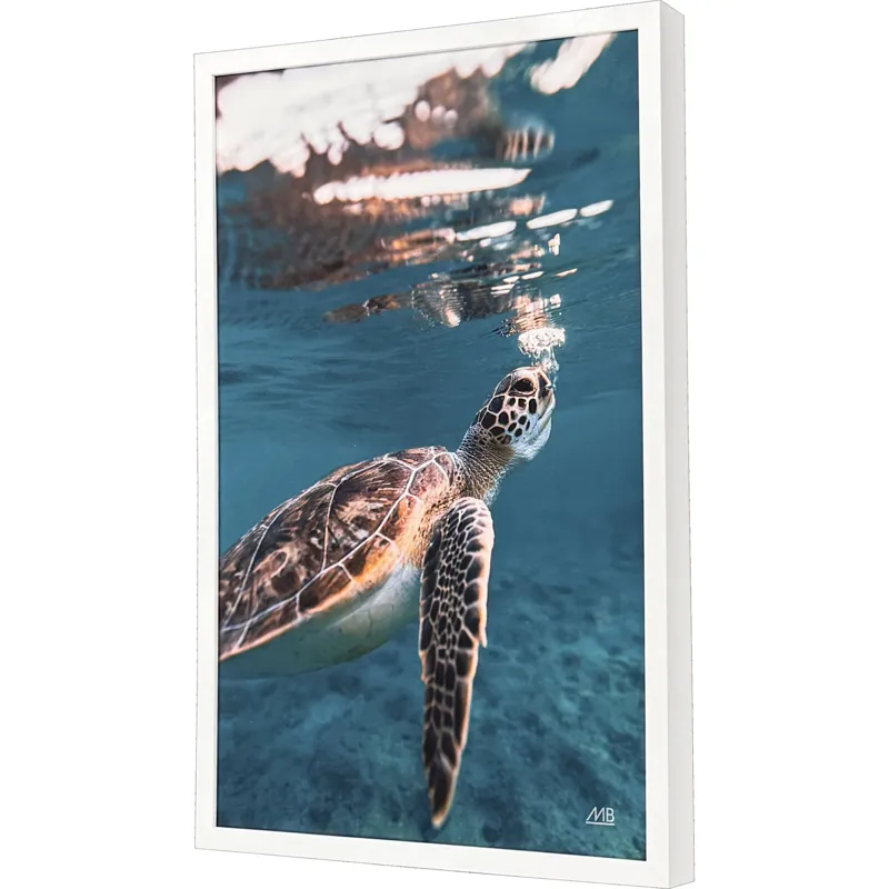 Blowing Bubbles - Framed Art