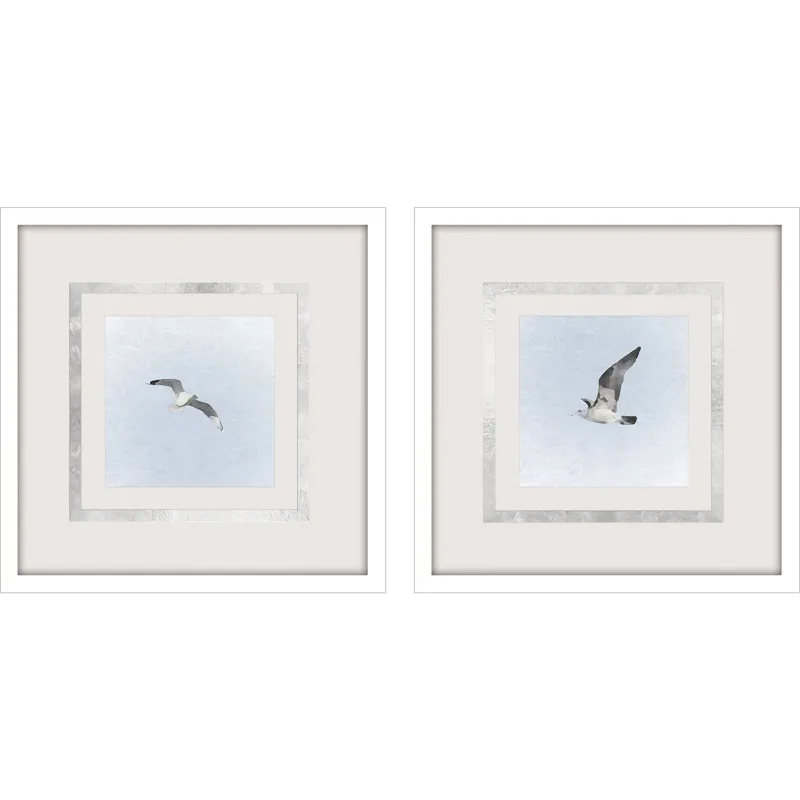 Modern Flight II S/2 - Framed Art
