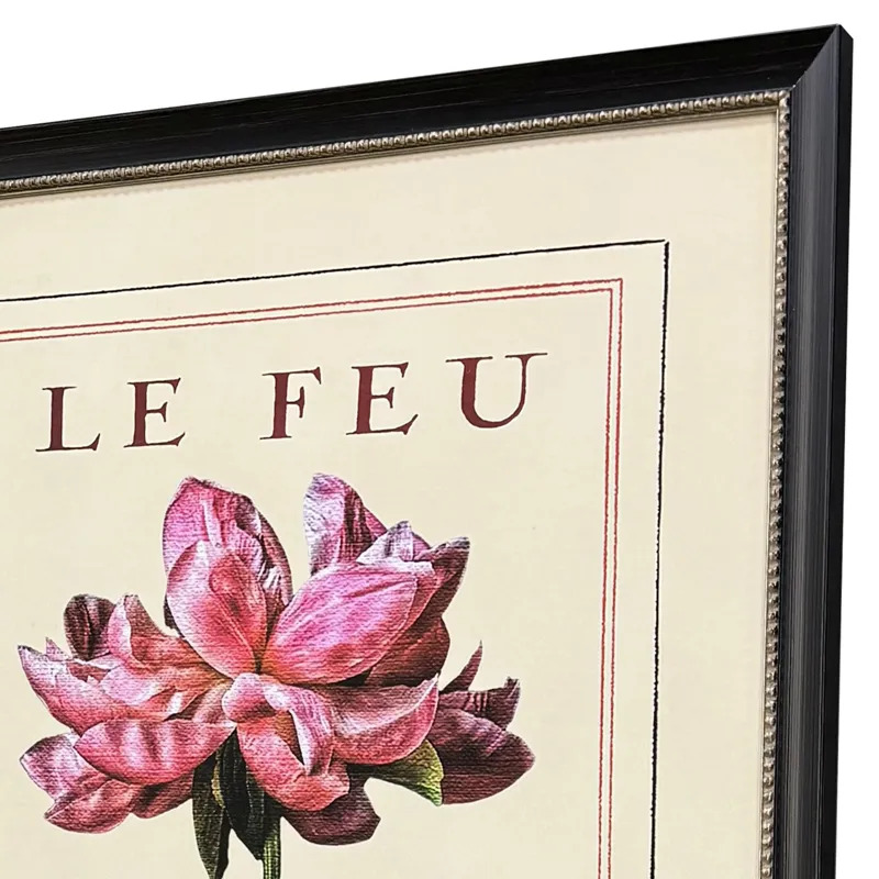 Le Fleur I S/2 Framed Art