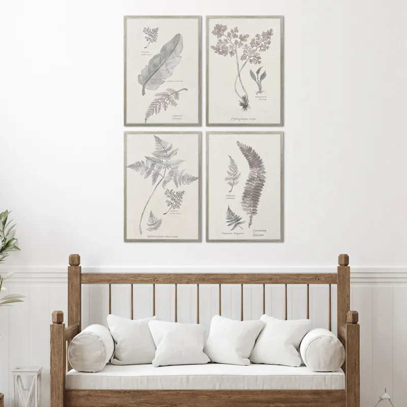 Fern Study S/4 Framed Art