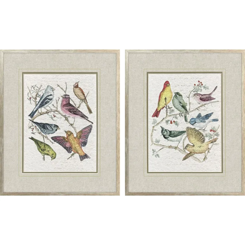 Bird Variety S/2 Framed Art