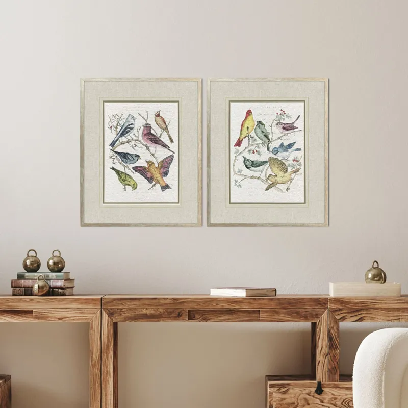 Bird Variety S/2 Framed Art