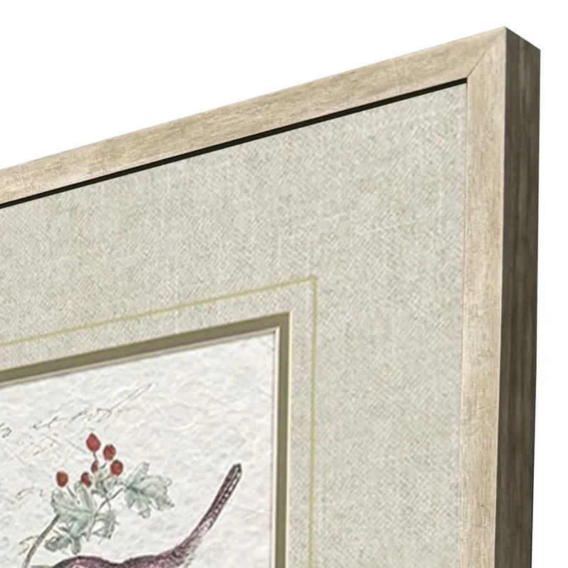 Bird Variety S/2 Framed Art