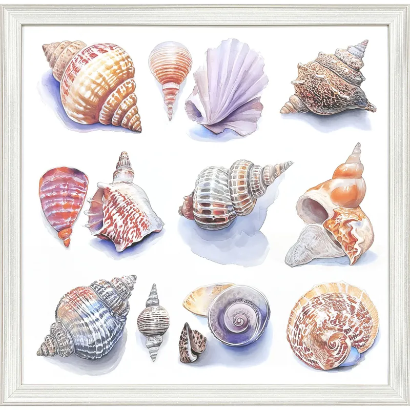 Shell Factory I Framed Art