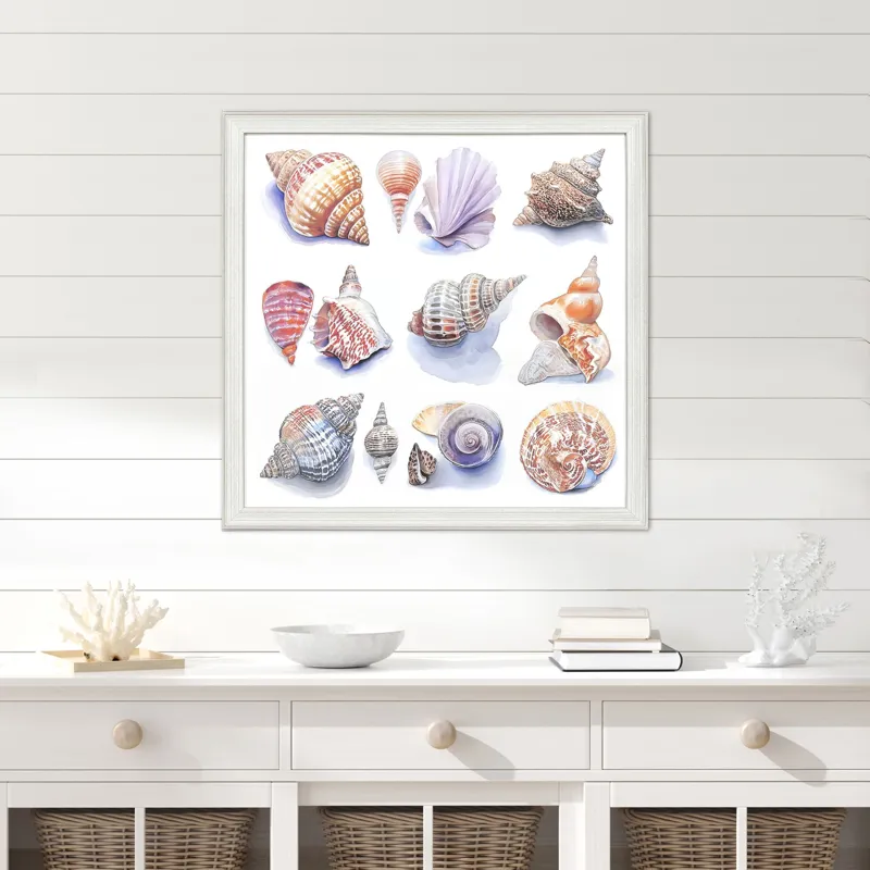 Shell Factory I Framed Art