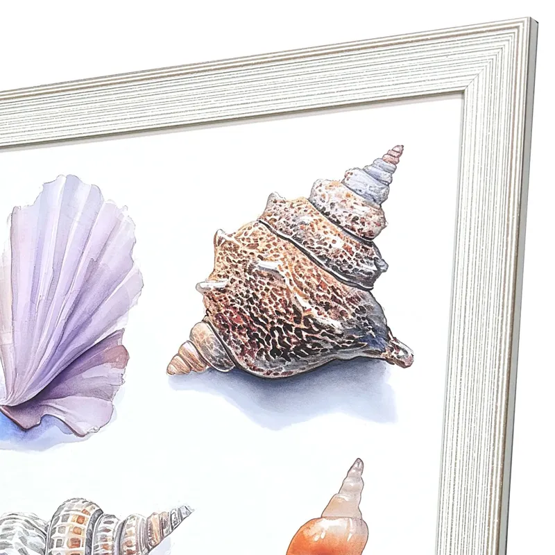Shell Factory I Framed Art