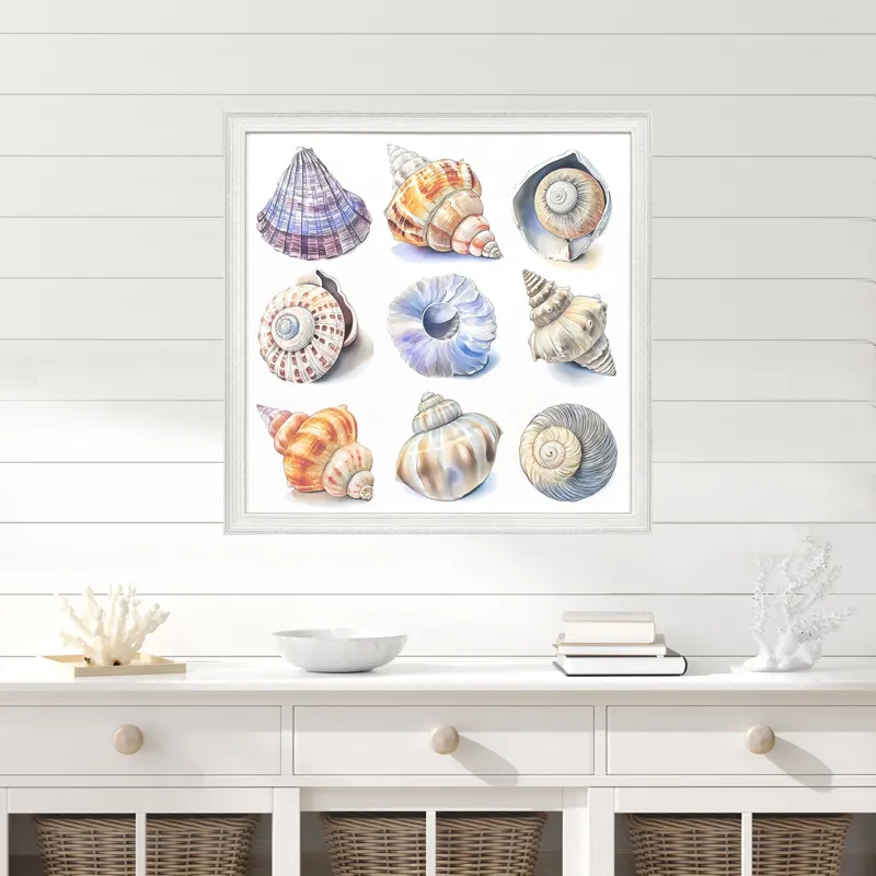 Shell Factory II Framed Art