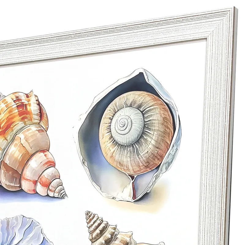 Shell Factory II Framed Art