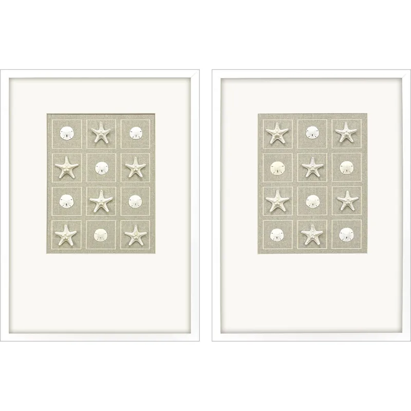 Shell Collection S/2 Framed Art