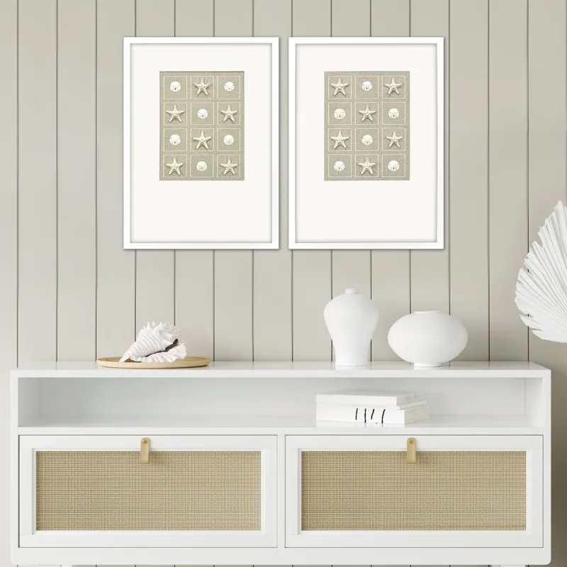 Shell Collection S/2 Framed Art