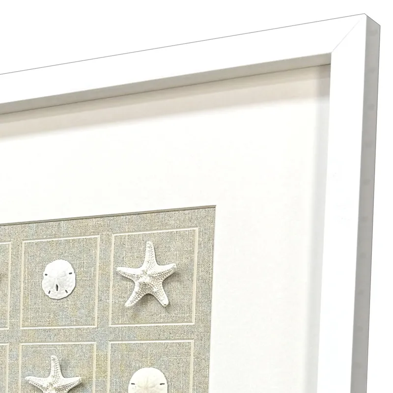 Shell Collection S/2 Framed Art