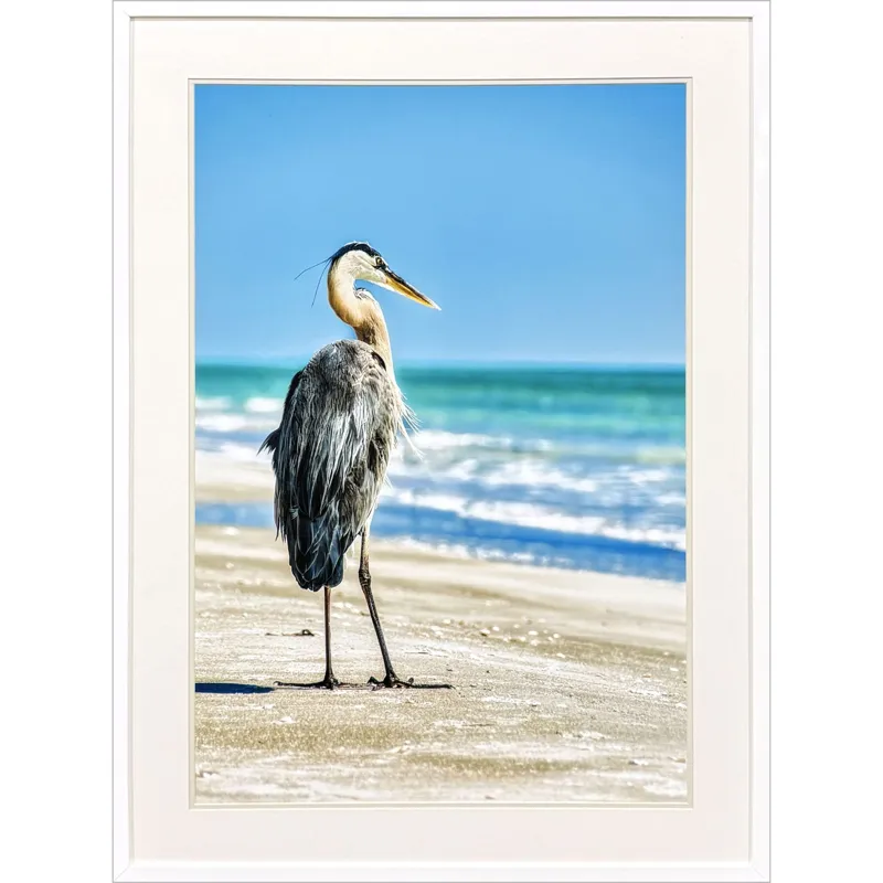 Avian Perspective Framed Art