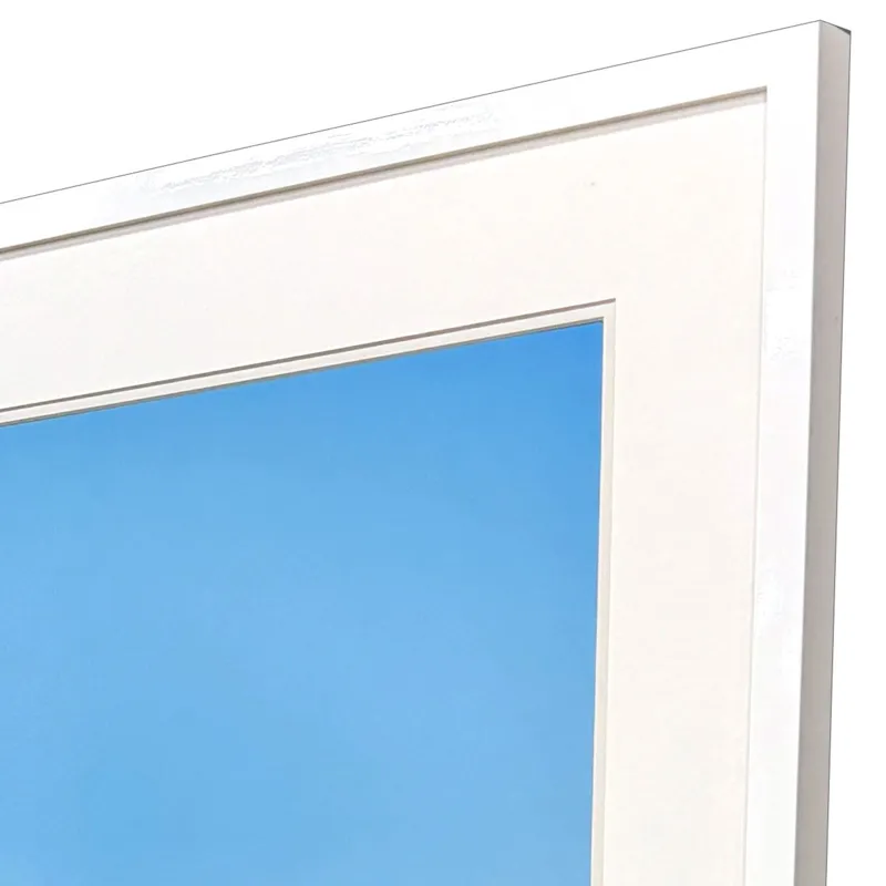 Avian Perspective Framed Art