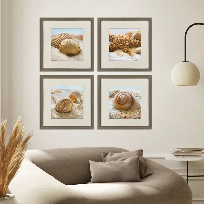 Beachy Shells S/4 Framed Art