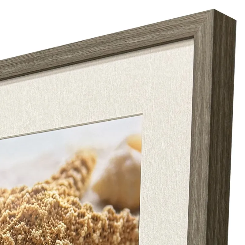 Beachy Shells S/4 Framed Art