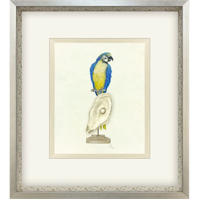 Treasure Parrot I Framed Art