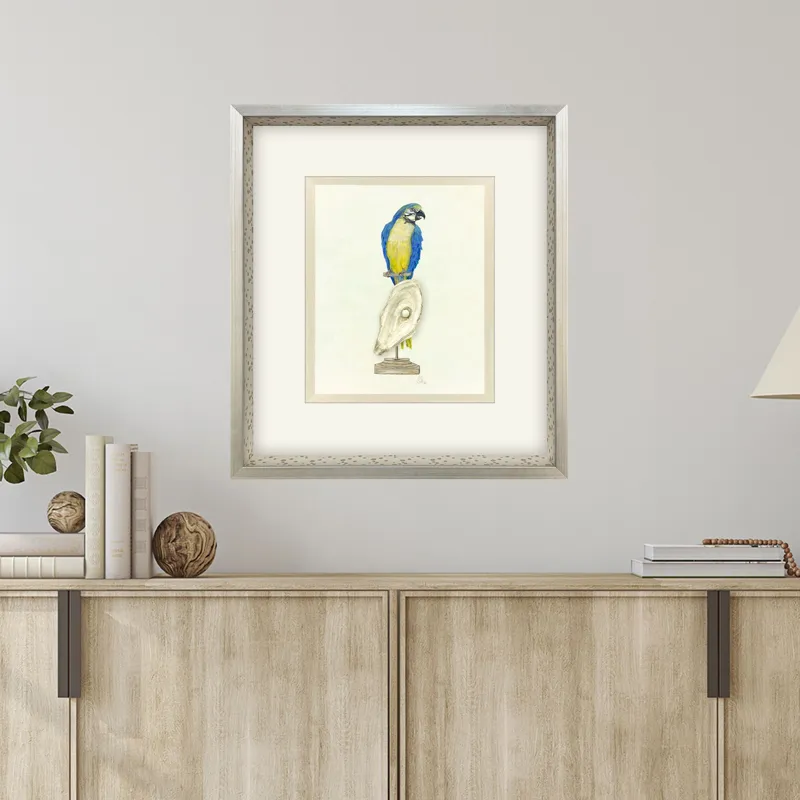 Treasure Parrot I Framed Art