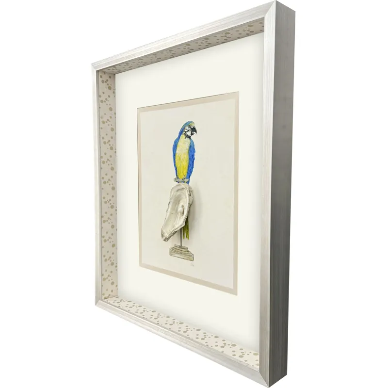 Treasure Parrot I Framed Art