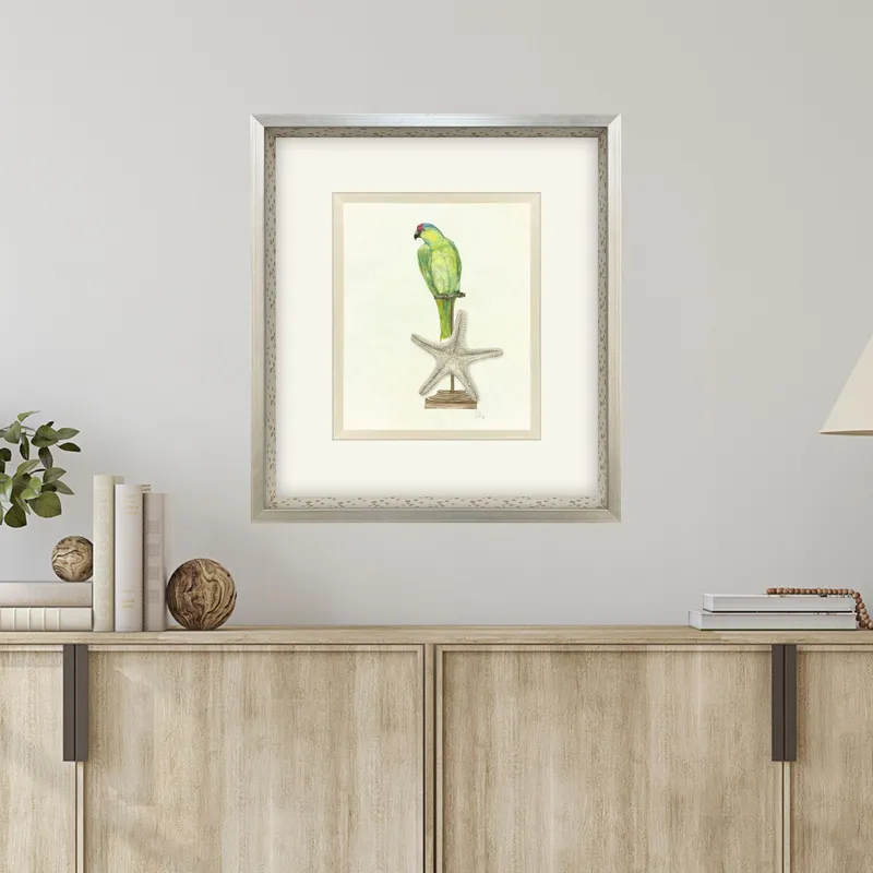 Treasure Parrot II Framed Art