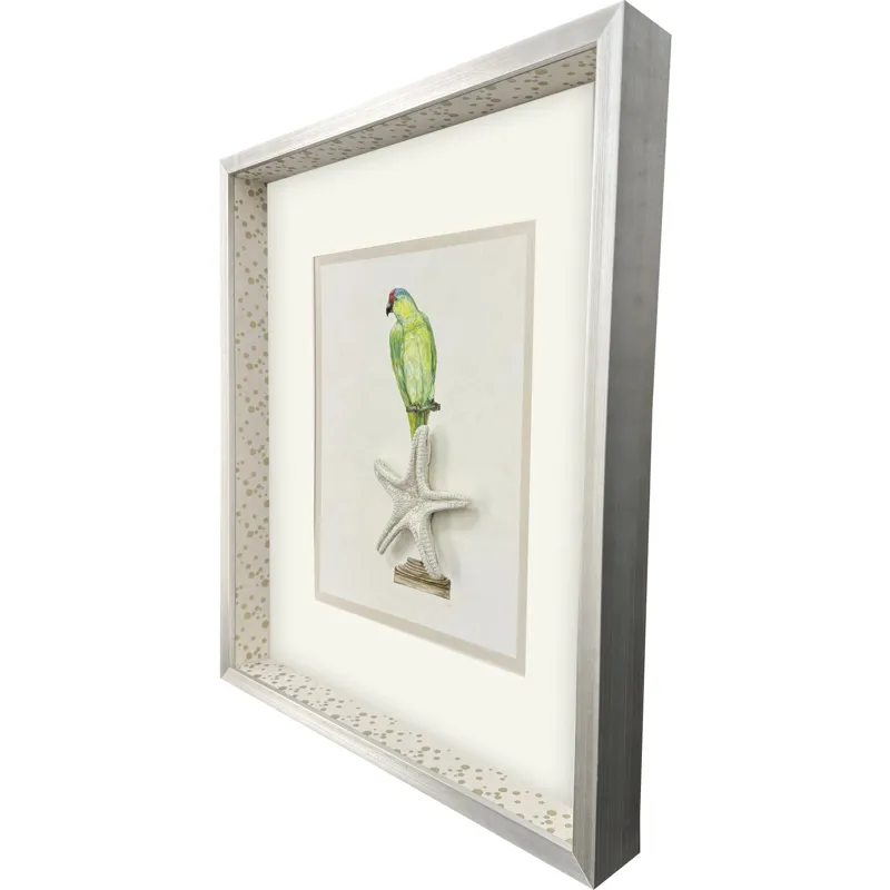 Treasure Parrot II Framed Art
