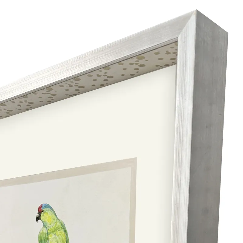 Treasure Parrot II Framed Art