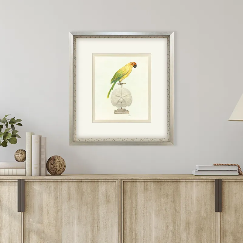 Treasure Parrot III Framed Art
