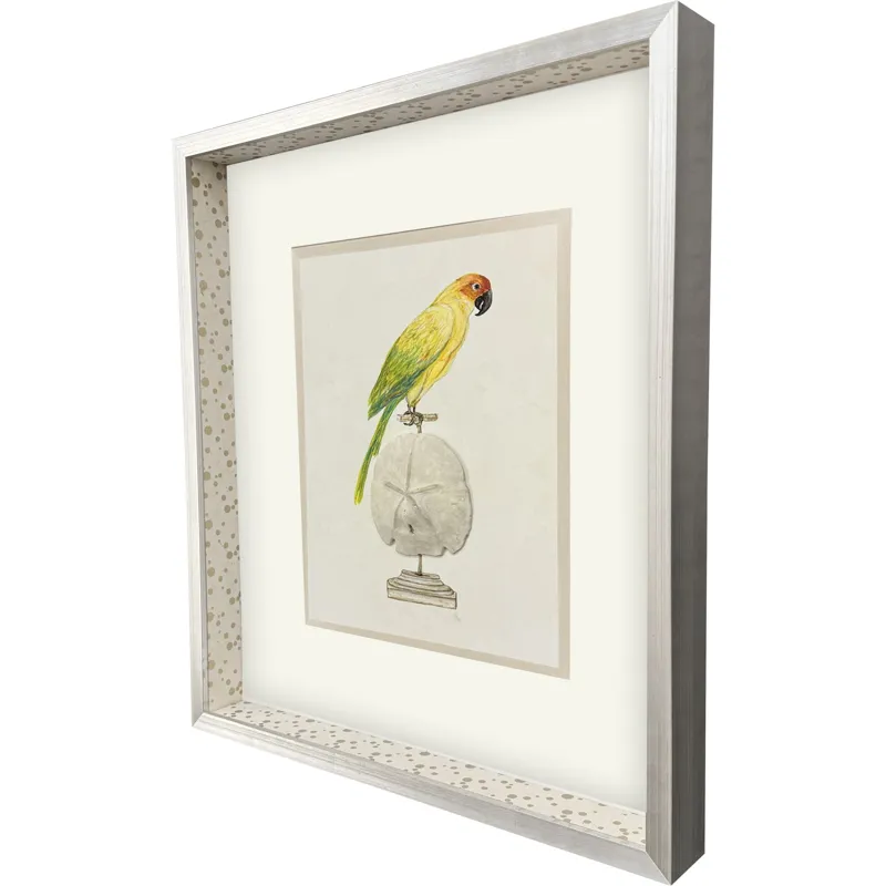 Treasure Parrot III Framed Art