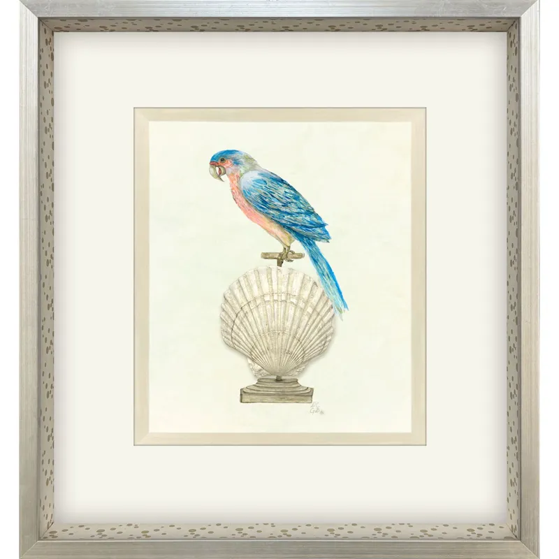Treasure Parrot IV Framed Art