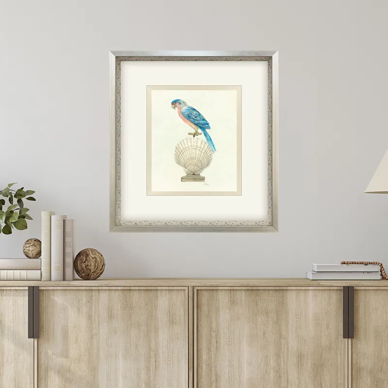 Treasure Parrot IV Framed Art