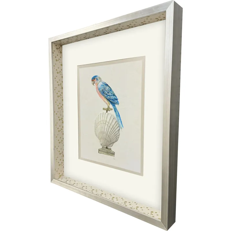 Treasure Parrot IV Framed Art