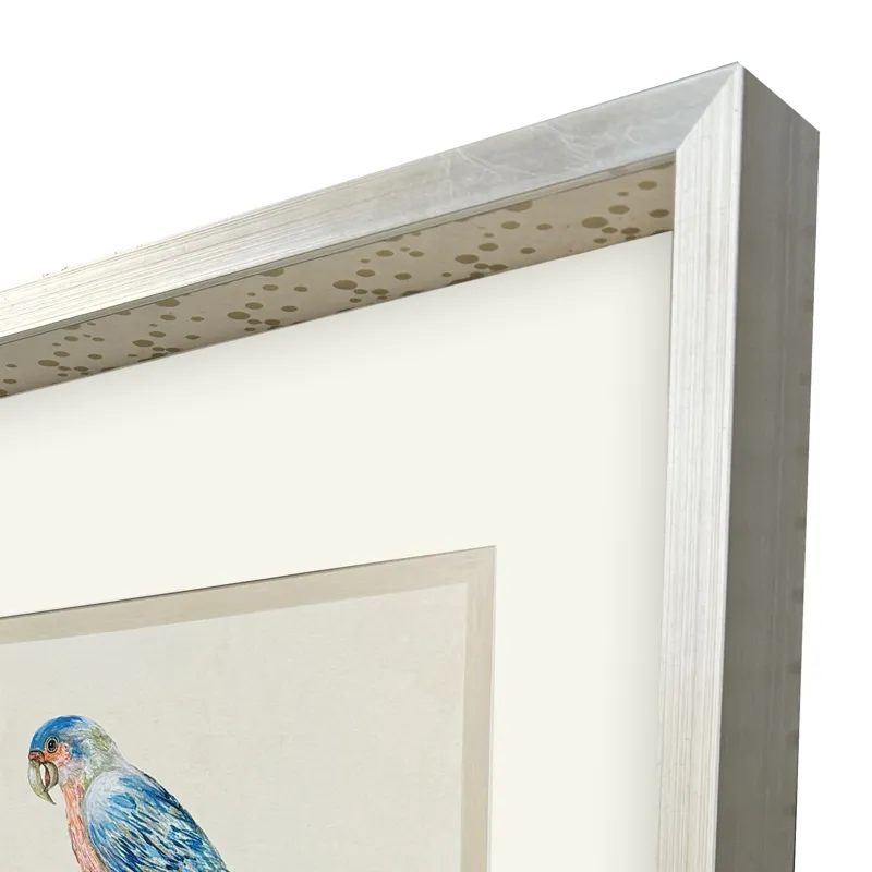 Treasure Parrot IV Framed Art