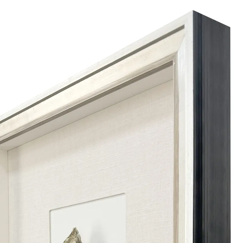 Oyster in Paradise II Framed Art