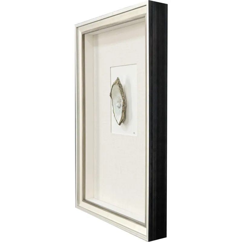 Oyster in Paradise III Framed Art