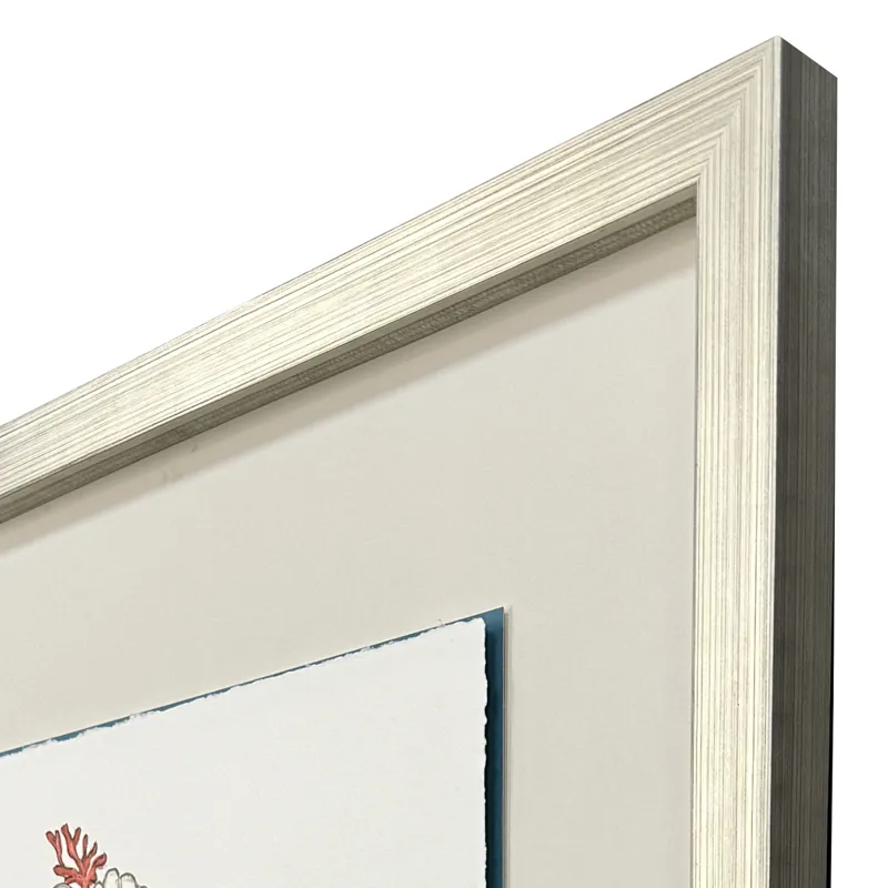 Seahorse Celebration II Framed Art