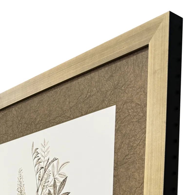 Neutral Botanical I S/2 Framed Art