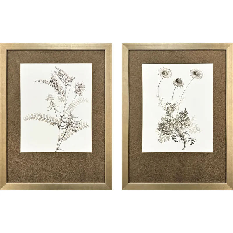 Neutral Botanical II S/2 Framed Art