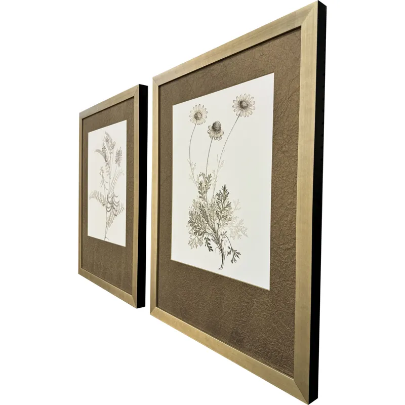 Neutral Botanical II S/2 Framed Art