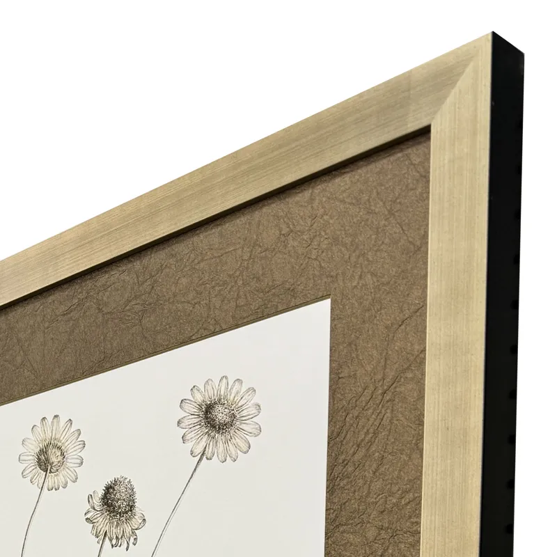 Neutral Botanical II S/2 Framed Art