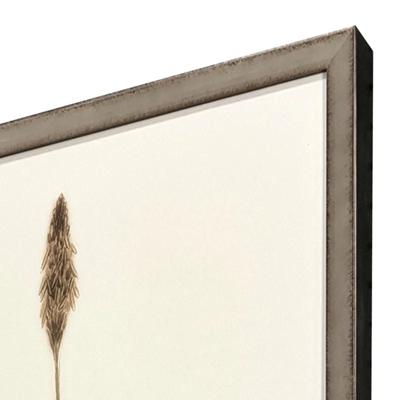 Varying Grasses S/4 Framed Art