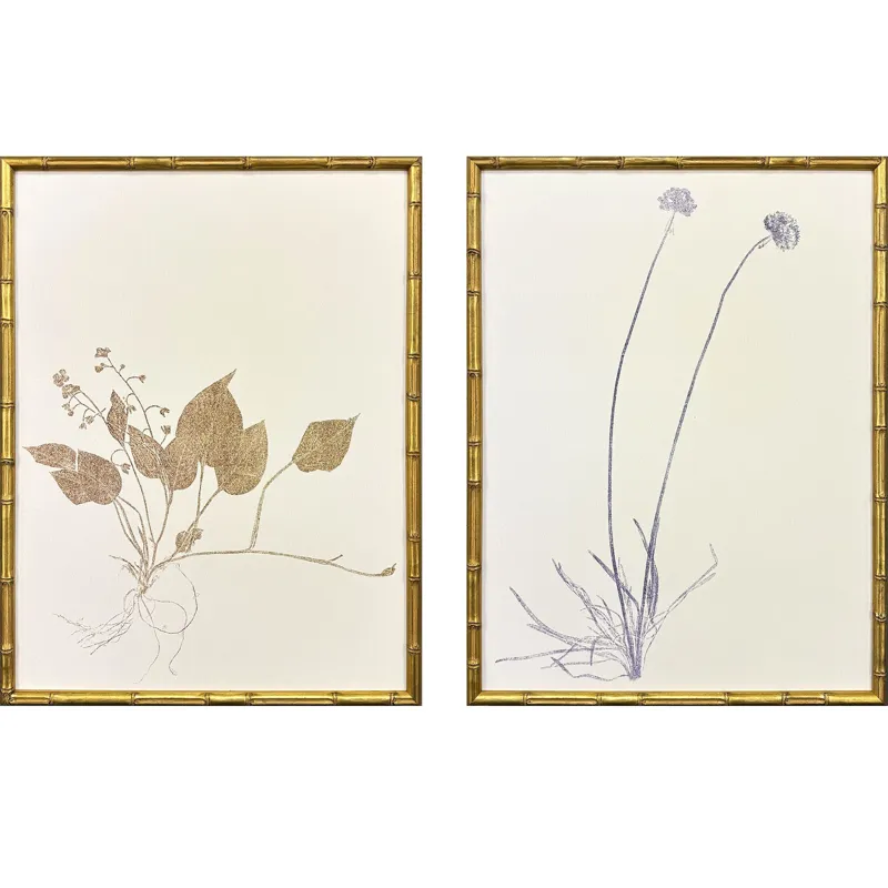 Floral Trace II S/2 Framed Art