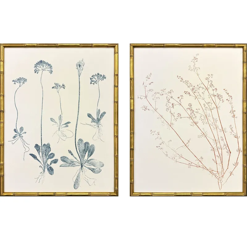 Floral Trace III S/2 Framed Art